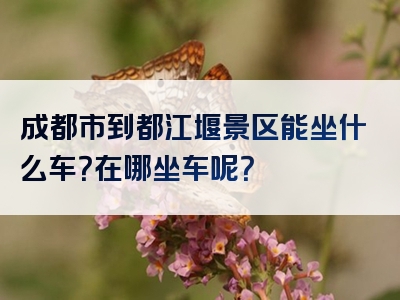 成都市到都江堰景区能坐什么车？在哪坐车呢？
