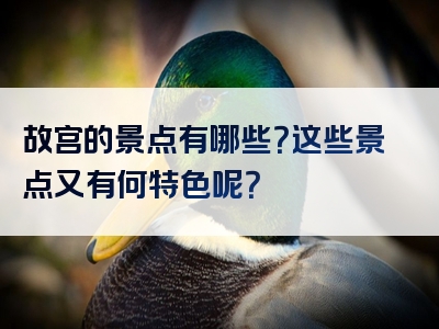 故宫的景点有哪些？这些景点又有何特色呢？