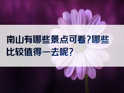 南山有哪些景点可看？哪些比较值得一去呢？
