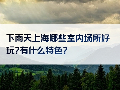 下雨天上海哪些室内场所好玩？有什么特色？