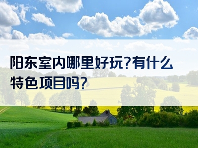 阳东室内哪里好玩？有什么特色项目吗？