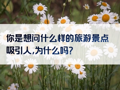 你是想问什么样的旅游景点吸引人，为什么吗？