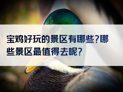宝鸡好玩的景区有哪些？哪些景区最值得去呢？