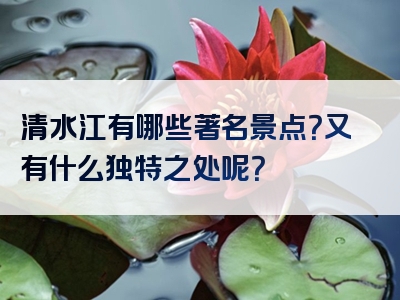 清水江有哪些著名景点？又有什么独特之处呢？