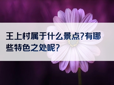 王上村属于什么景点？有哪些特色之处呢？