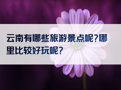 云南有哪些旅游景点呢？哪里比较好玩呢？