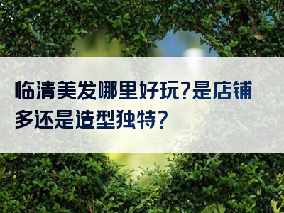 临清美发哪里好玩？是店铺多还是造型独特？