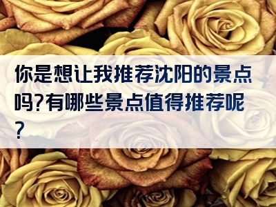 你是想让我推荐沈阳的景点吗？有哪些景点值得推荐呢？