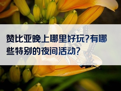 赞比亚晚上哪里好玩？有哪些特别的夜间活动？