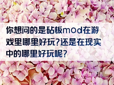 你想问的是砧板mod在游戏里哪里好玩？还是在现实中的哪里好玩呢？
