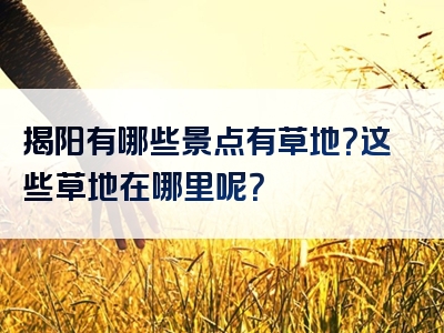 揭阳有哪些景点有草地？这些草地在哪里呢？