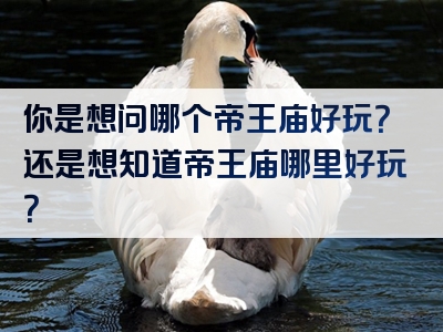 你是想问哪个帝王庙好玩？还是想知道帝王庙哪里好玩？