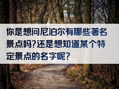 你是想问尼泊尔有哪些著名景点吗？还是想知道某个特定景点的名字呢？