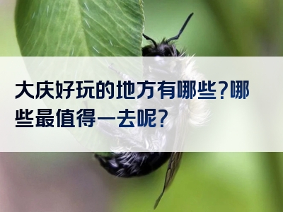大庆好玩的地方有哪些？哪些最值得一去呢？