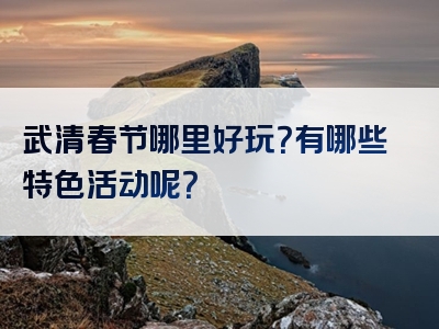 武清春节哪里好玩？有哪些特色活动呢？