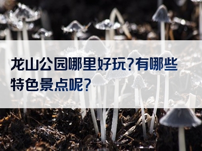 龙山公园哪里好玩？有哪些特色景点呢？