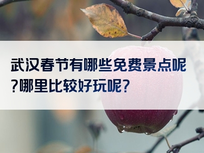 武汉春节有哪些免费景点呢？哪里比较好玩呢？