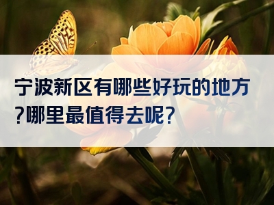 宁波新区有哪些好玩的地方？哪里最值得去呢？
