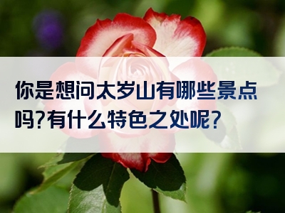你是想问太岁山有哪些景点吗？有什么特色之处呢？
