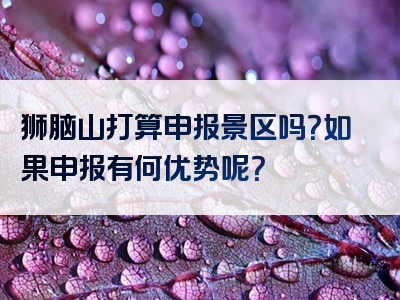 狮脑山打算申报景区吗？如果申报有何优势呢？