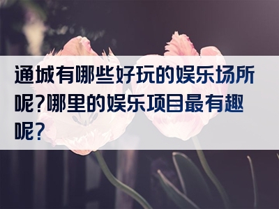 通城有哪些好玩的娱乐场所呢？哪里的娱乐项目最有趣呢？
