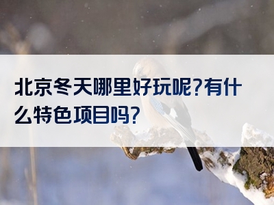 北京冬天哪里好玩呢？有什么特色项目吗？