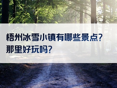 梧州冰雪小镇有哪些景点？那里好玩吗？