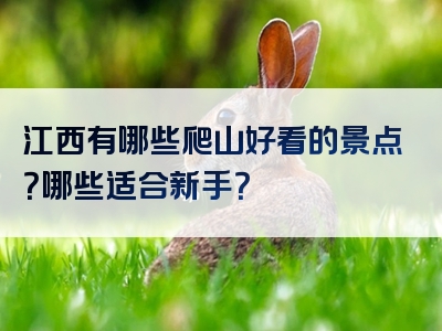 江西有哪些爬山好看的景点？哪些适合新手？
