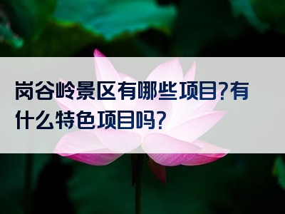 岗谷岭景区有哪些项目？有什么特色项目吗？