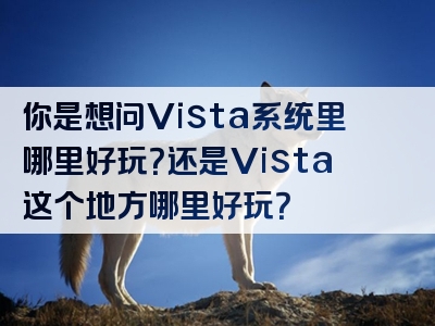 你是想问Vista系统里哪里好玩？还是Vista这个地方哪里好玩？