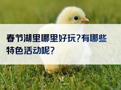 春节湖里哪里好玩？有哪些特色活动呢？