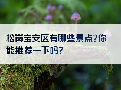 松岗宝安区有哪些景点?你能推荐一下吗?