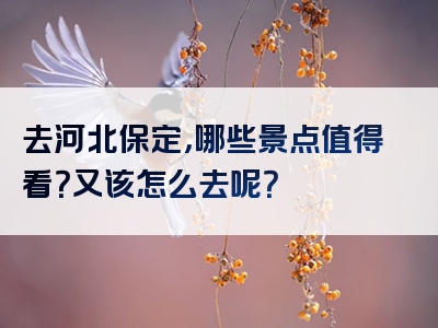 去河北保定，哪些景点值得看？又该怎么去呢？
