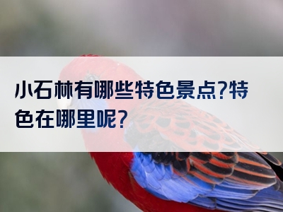 小石林有哪些特色景点？特色在哪里呢？
