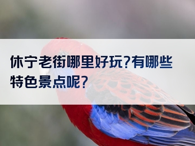 休宁老街哪里好玩？有哪些特色景点呢？