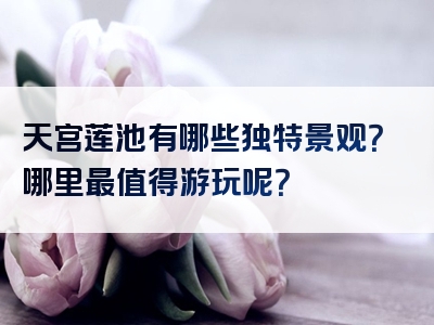 天宫莲池有哪些独特景观？哪里最值得游玩呢？