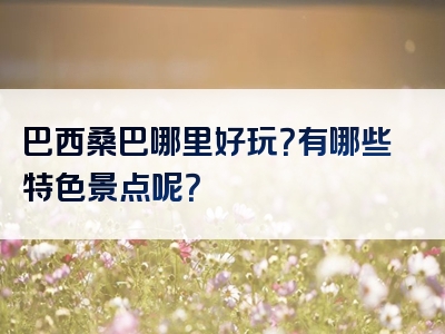 巴西桑巴哪里好玩？有哪些特色景点呢？