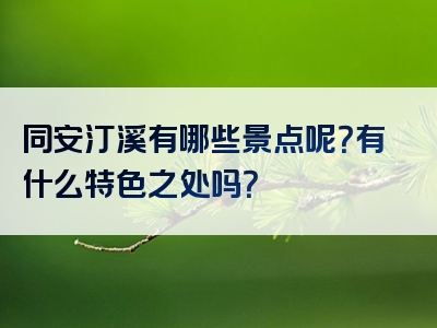 同安汀溪有哪些景点呢？有什么特色之处吗？
