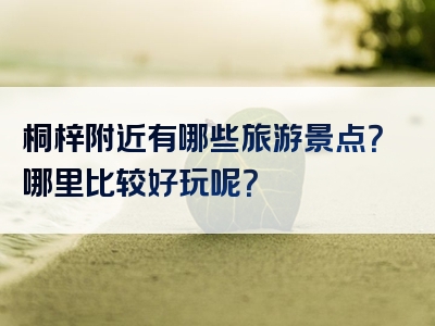桐梓附近有哪些旅游景点？哪里比较好玩呢？