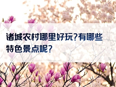 诸城农村哪里好玩？有哪些特色景点呢？