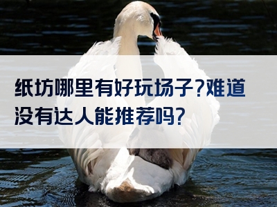 纸坊哪里有好玩场子？难道没有达人能推荐吗？