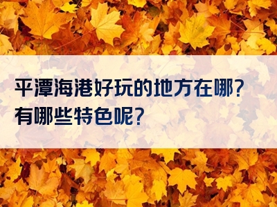 平潭海港好玩的地方在哪？有哪些特色呢？