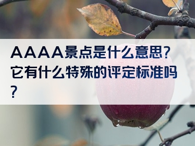 AAAA景点是什么意思？它有什么特殊的评定标准吗？