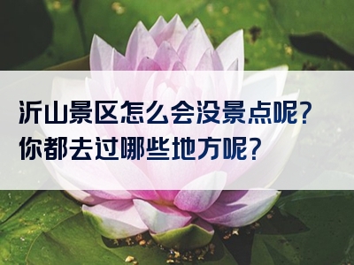 沂山景区怎么会没景点呢？你都去过哪些地方呢？
