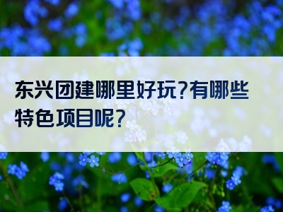 东兴团建哪里好玩？有哪些特色项目呢？