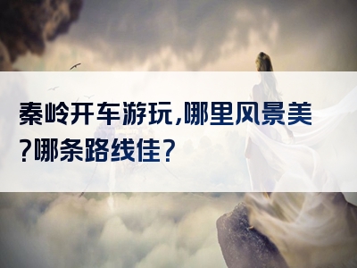 秦岭开车游玩，哪里风景美？哪条路线佳？