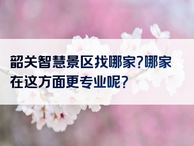 韶关智慧景区找哪家？哪家在这方面更专业呢？