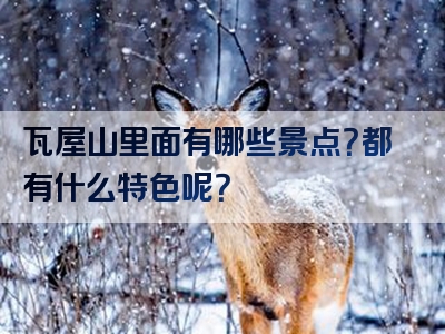 瓦屋山里面有哪些景点？都有什么特色呢？