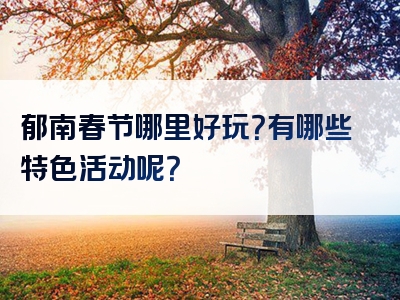 郁南春节哪里好玩？有哪些特色活动呢？