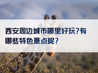 西安周边城市哪里好玩？有哪些特色景点呢？